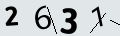verifycode